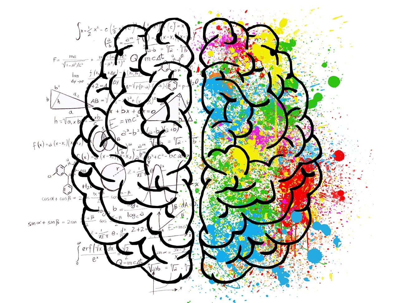 How Martial Arts Support Emotional Regulation